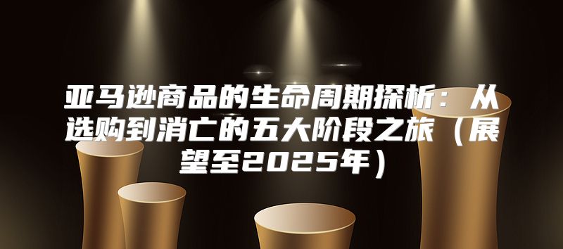 亚马逊商品的生命周期探析：从选购到消亡的五大阶段之旅展望至2025年