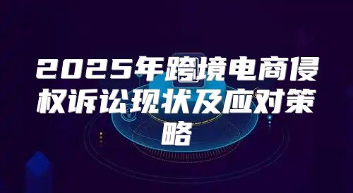 2025年跨境电商侵权诉讼现状及应对策略