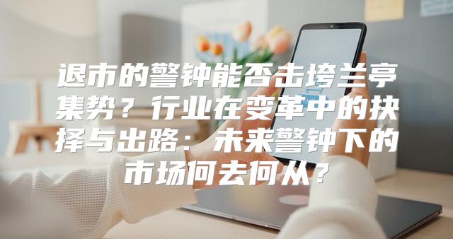 退市的警钟能否击垮兰亭集势？行业在变革中的抉择与出路：未来警钟下的市场何去何从？