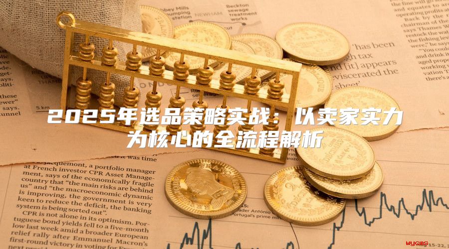2025年选品策略实战：以卖家实力为核心的全流程解析