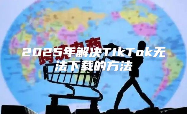2025年解决TikTok无法下载的方法