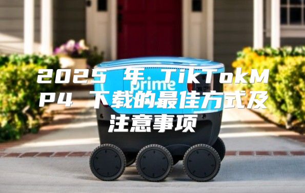 2025 年 TikTokMP4 下载的最佳方式及注意事项