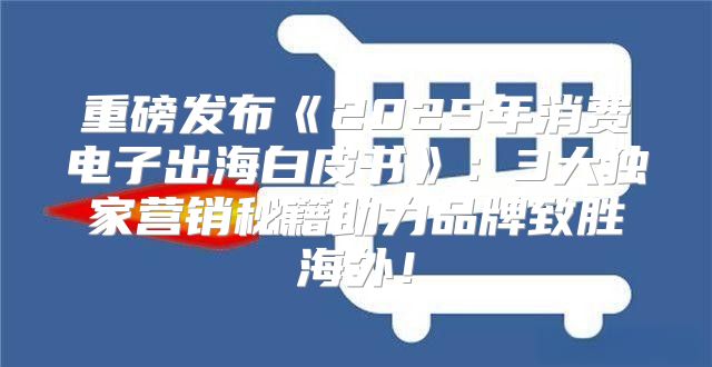 重磅发布2025年消费电子出海白皮书：3大独家营销秘籍助力品牌致胜海外！