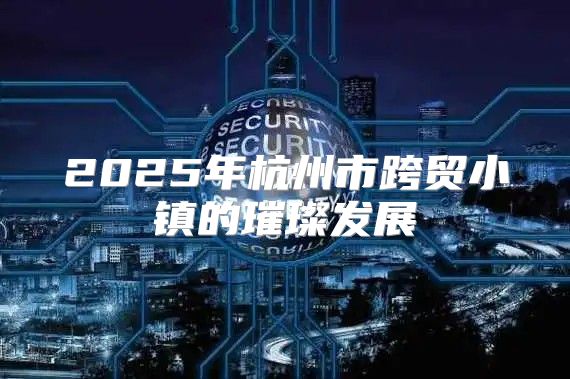 2025年杭州市跨贸小镇的璀璨发展