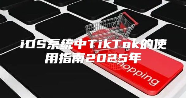 iOS系统中TikTok的使用指南2025年