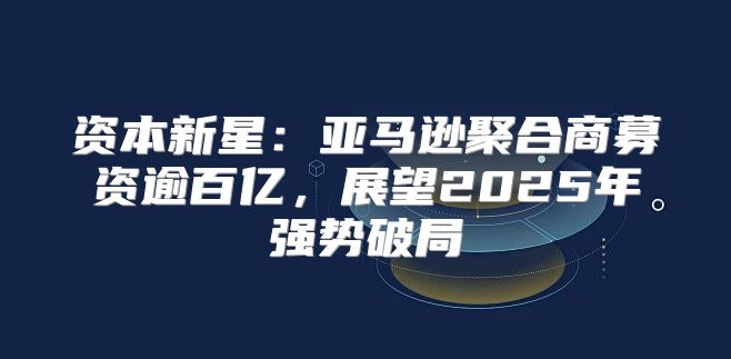 资本新星：亚马逊聚合商募资逾百亿，展望2025年强势破局