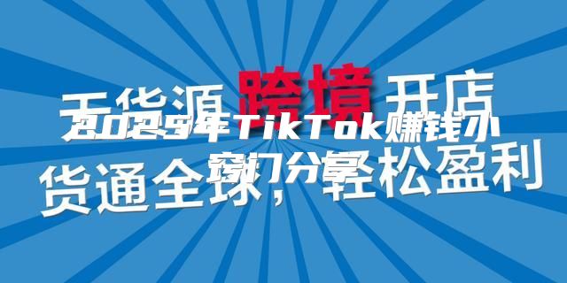2025年TikTok赚钱小窍门分享