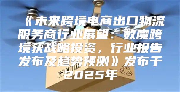 未来跨境电商出口物流服务商行业展望：数魔跨境获战略投资，行业报告发布及趋势预测发布于2025年