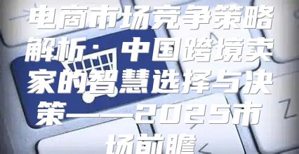 电商市场竞争策略解析：中国跨境卖家的智慧选择与决策——2025市场前瞻