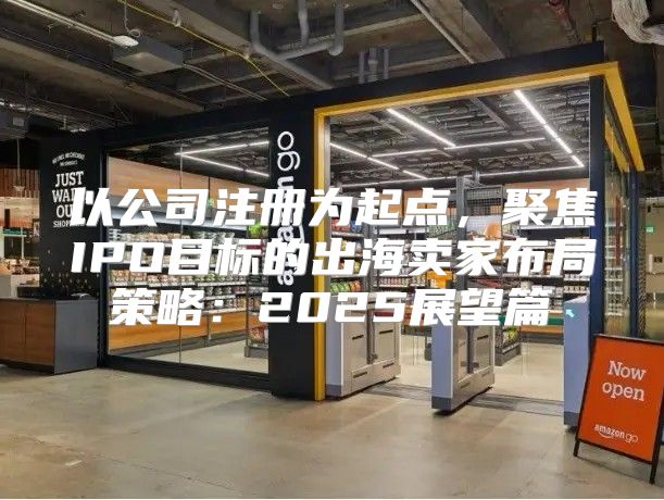 以公司注册为起点，聚焦IPO目标的出海卖家布局策略：2025展望篇