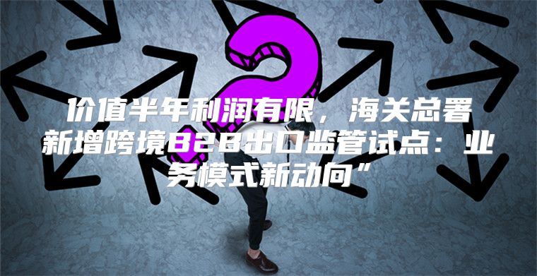 价值半年利润有限，海关总署新增跨境B2B出口监管试点：业务模式新动向”