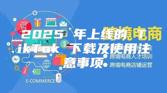 2025 年上线的 TikTok 下载及使用注意事项