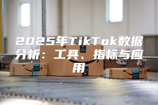 2025年TikTok数据分析：工具、指标与应用