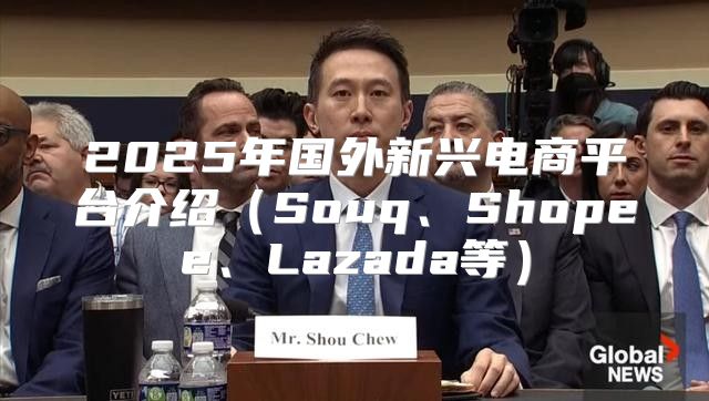 2025年国外新兴电商平台介绍Souq、Shopee、Lazada等