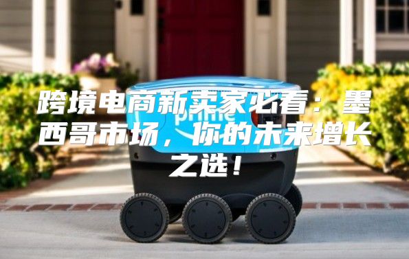 跨境电商新卖家必看：墨西哥市场，你的未来增长之选！