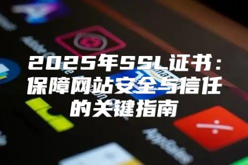 2025年SSL证书：保障网站安全与信任的关键指南