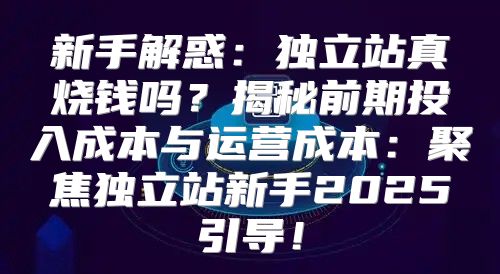 新手解惑：独立站真烧钱吗？揭秘前期投入成本与运营成本：聚焦独立站新手2025引导！