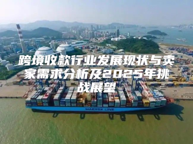 跨境收款行业发展现状与卖家需求分析及2025年挑战展望