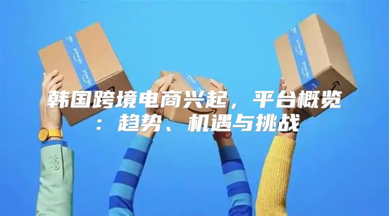 韩国跨境电商兴起，平台概览：趋势、机遇与挑战