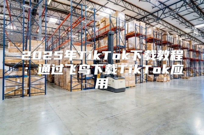 2025年TikTok下载教程：通过飞鸟下载TikTok应用
