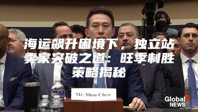 海运飙升困境下，独立站卖家突破之道：旺季制胜策略揭秘