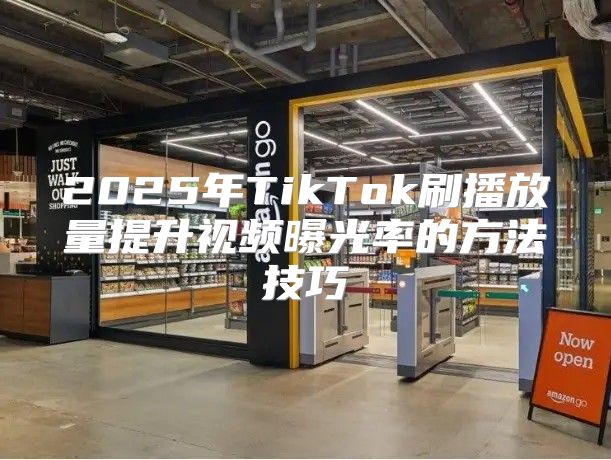 2025年TikTok刷播放量提升视频曝光率的方法技巧