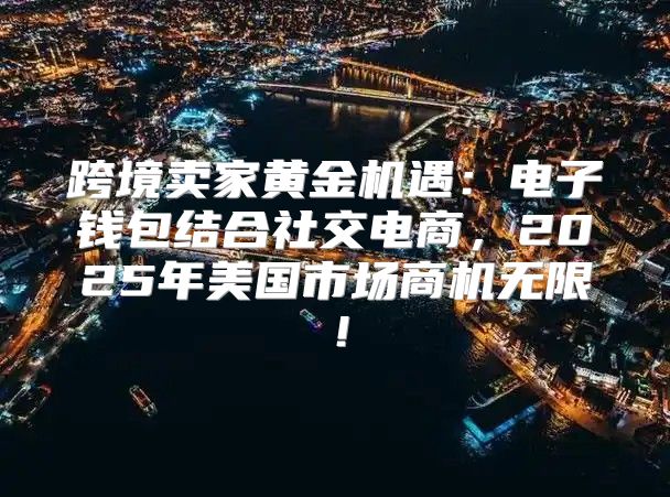 跨境卖家黄金机遇：电子钱包结合社交电商，2025年美国市场商机无限！