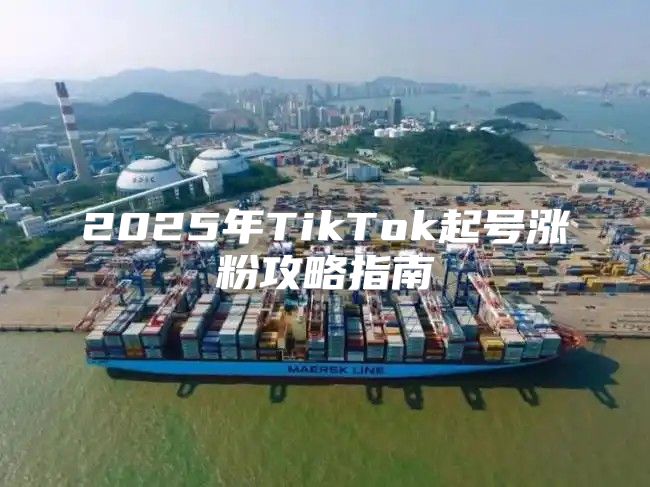2025年TikTok起号涨粉攻略指南