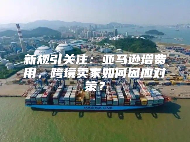 新规引关注：亚马逊增费用，跨境卖家如何因应对策？