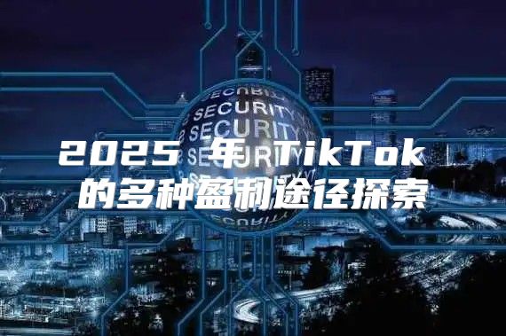 2025 年 TikTok 的多种盈利途径探索