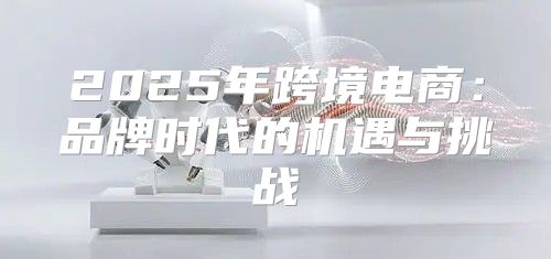 2025年跨境电商：品牌时代的机遇与挑战