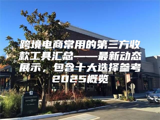 跨境电商常用的第三方收款工具汇总——最新动态展示，包含十大选择参考2025概览