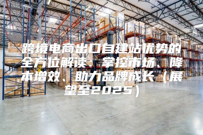 跨境电商出口自建站优势的全方位解读：掌控市场、降本增效、助力品牌成长展望至2025