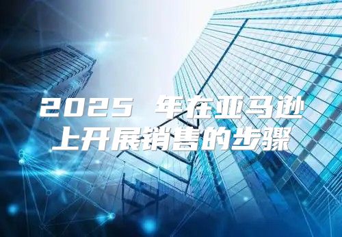 2025 年在亚马逊上开展销售的步骤