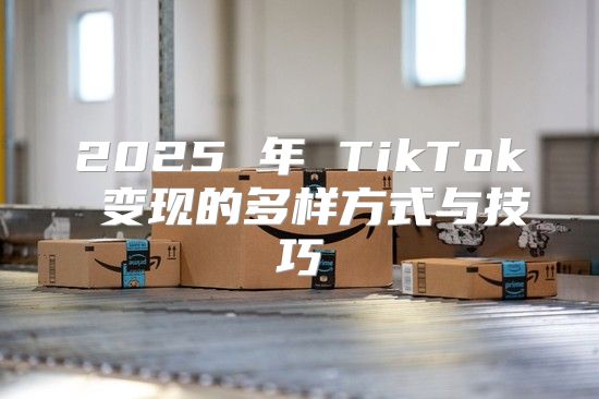 2025 年 TikTok 变现的多样方式与技巧