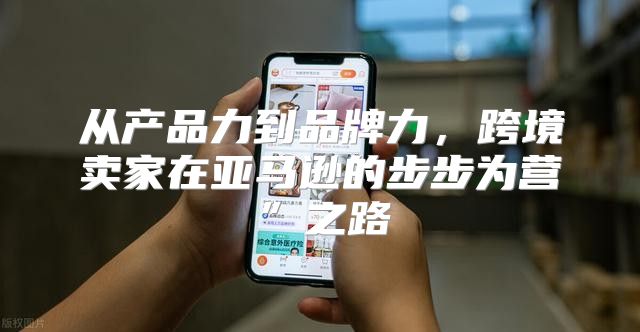 从产品力到品牌力，跨境卖家在亚马逊的步步为营”之路