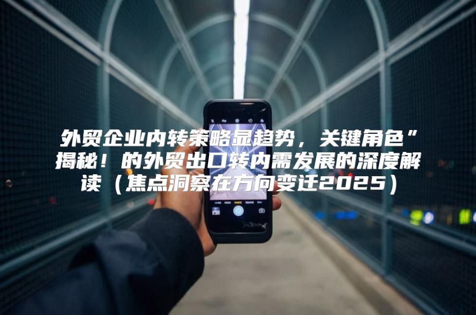 外贸企业内转策略显趋势，关键角色”揭秘！的外贸出口转内需发展的深度解读焦点洞察在方向变迁2025