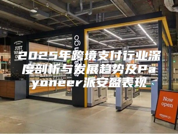 2025年跨境支付行业深度剖析与发展趋势及Payoneer派安盈表现