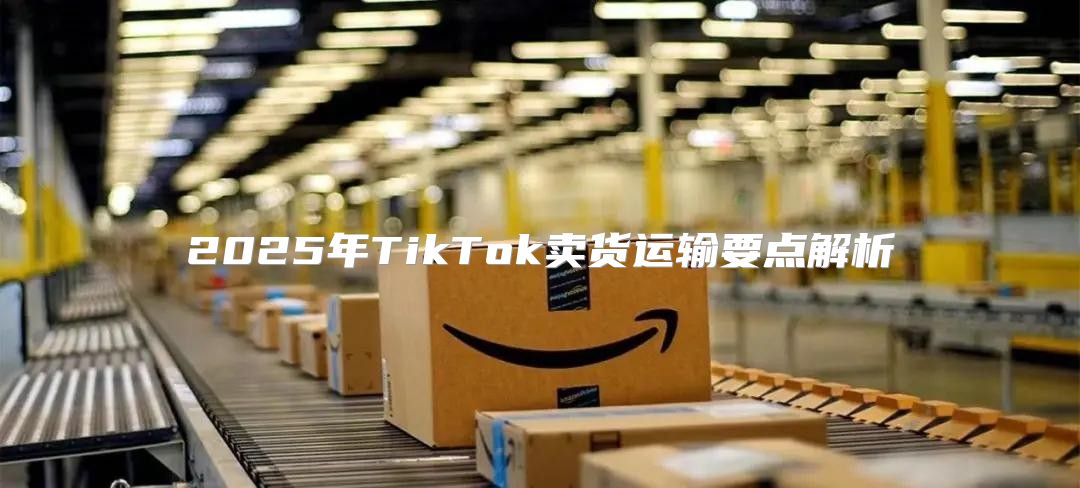 2025年TikTok卖货运输要点解析