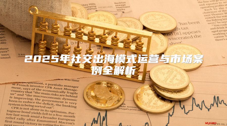 2025年社交出海模式运营与市场案例全解析