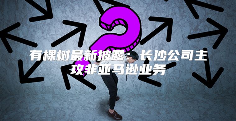 有棵树最新披露：长沙公司主攻非亚马逊业务