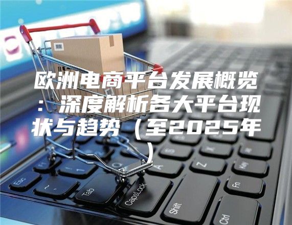 欧洲电商平台发展概览：深度解析各大平台现状与趋势至2025年