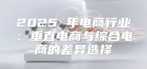 2025 年电商行业：垂直电商与综合电商的差异选择