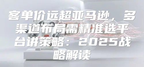客单价远超亚马逊，多渠道布局需精准选平台讲策略：2025战略解读