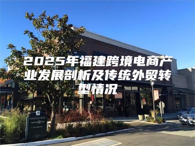 2025年福建跨境电商产业发展剖析及传统外贸转型情况