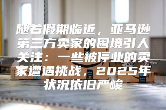 随着假期临近，亚马逊第三方卖家的困境引人关注：一些被停业的卖家遭遇挑战，2025年状况依旧严峻