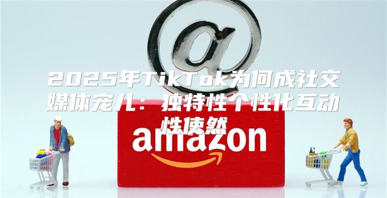 2025年TikTok为何成社交媒体宠儿：独特性个性化互动性使然