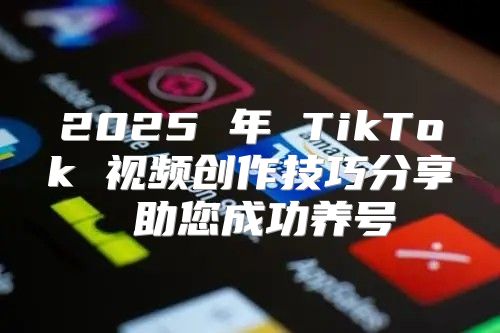 2025 年 TikTok 视频创作技巧分享 助您成功养号