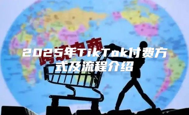 2025年TikTok付费方式及流程介绍