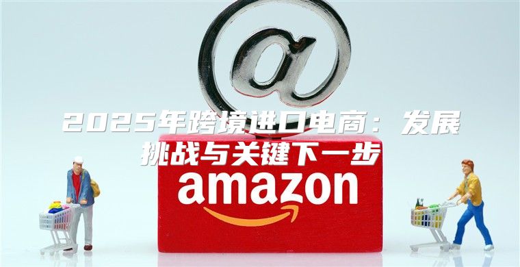 2025年跨境进口电商：发展挑战与关键下一步